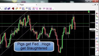 Learn How To Trade Forex Using Forex Price Action Strategies