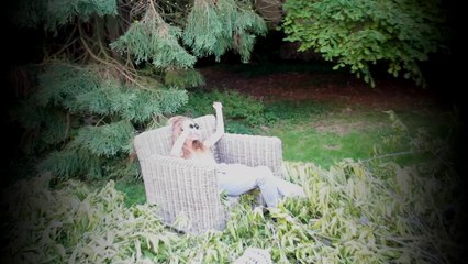 Ninamodedemploi ( the brian jonestown massacre - Anemone)