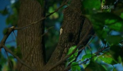 신촌 유흥 마트 ↙벨라지오UHMART NET청주오피걸↘ 신사동오피걸 부산오피걸