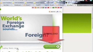 Real Forex Trading Strategies That Work