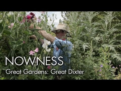 Great Gardens: Great Dixter by Howard Sooley