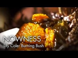 Margot Henderson and Lily Cole in "Burning Bush" by Kim Gehrig