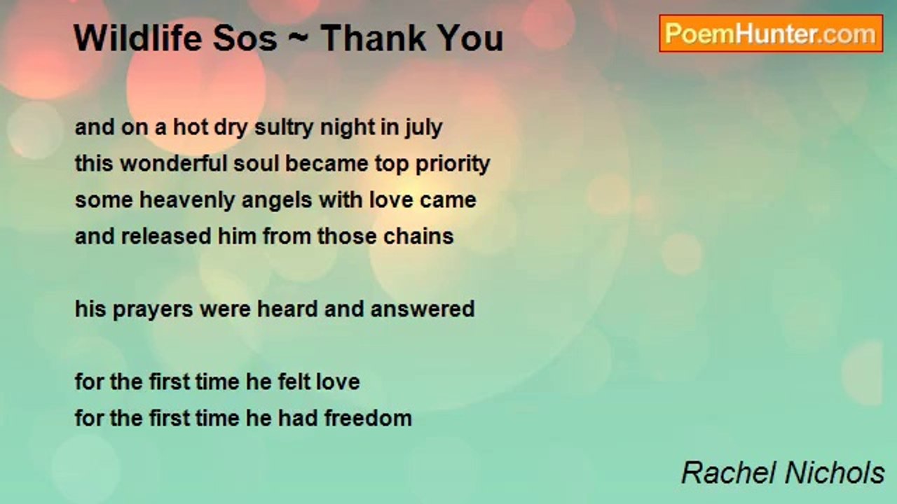 Rachel Nichols - Wildlife Sos ~ Thank You