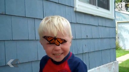 La vidéo la plus mignonne du monde