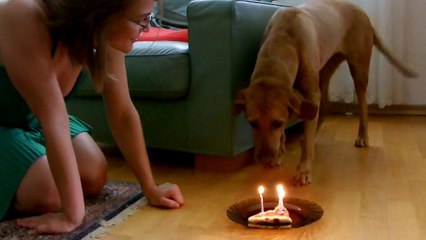 Kiara 5th Birthday Bratislava