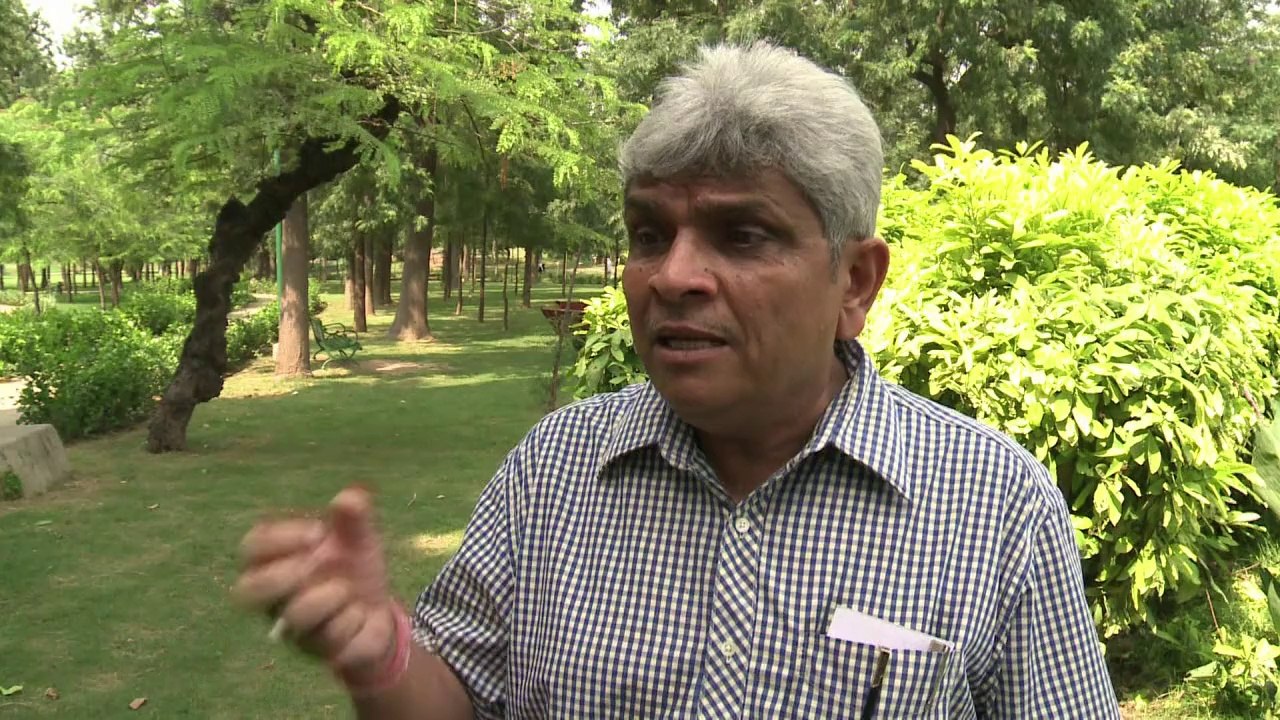 Mit affengebrüll: menschen gegen makaken in neu delhi