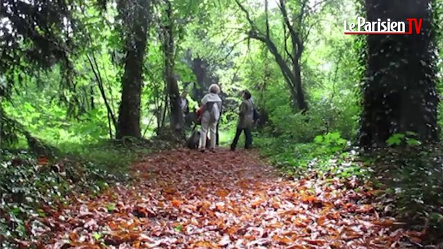 A Nogent, embarquez pour percer les secrets de l'Ile des loups