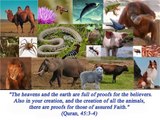 Animals Mentioned in the Quran