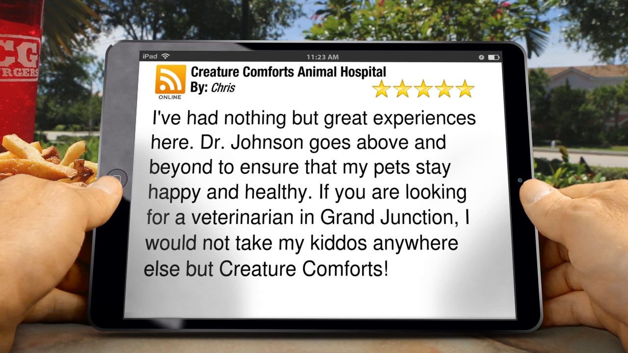 Creature Comforts Animal Hospital Grand Junction         Terrific         Five Star Review by Chris