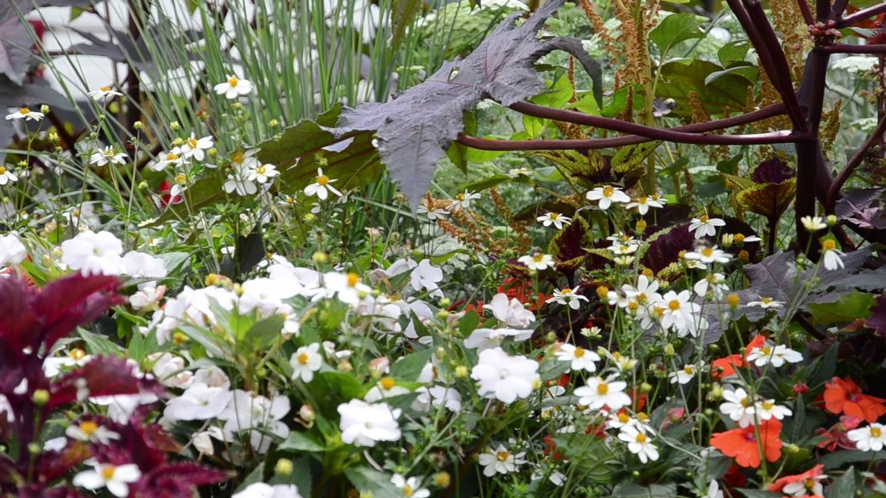 Chantier Jeunes Franco-Québécois : Episode 3