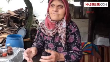 Ahıra Yıldırım Düştü, 4 İnek Telef Oldu