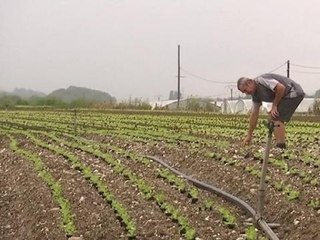 Embargo russe: Quelles conséquences pour la France?