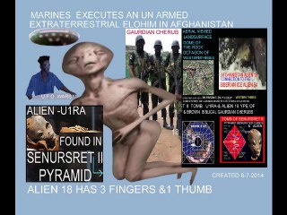 8-7-2014 GAZA GIZA  SYRIA & AFGHANISTAN U.F.O. ELOHIM RETURNED LION SPHINX IMAGE& VIDEO