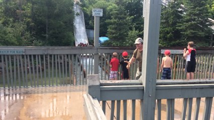 Parents trick kid into standing on log ride bridge