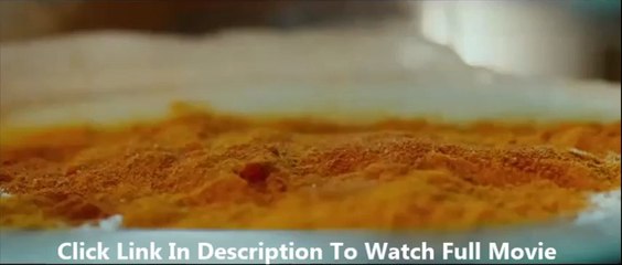 The Hundred-Foot Journey free download fs