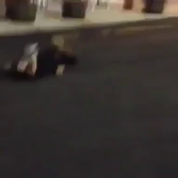 Elle Ne le Referas Plus Jamais