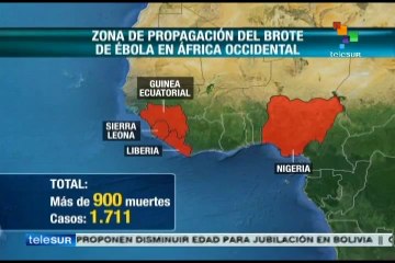 Causas de la rápida propagación del virus del ébola