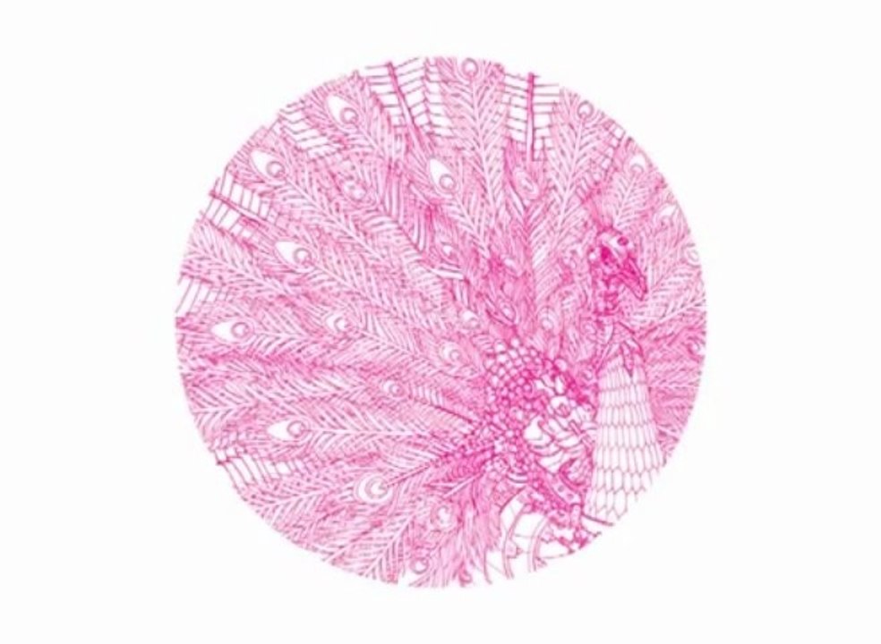 WG Vinyl 003 - Peacock EP: LeeJones & DanielDreier - Lullaby