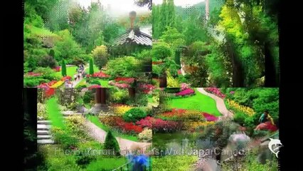 The most beautiful gardens in the world with names and countries