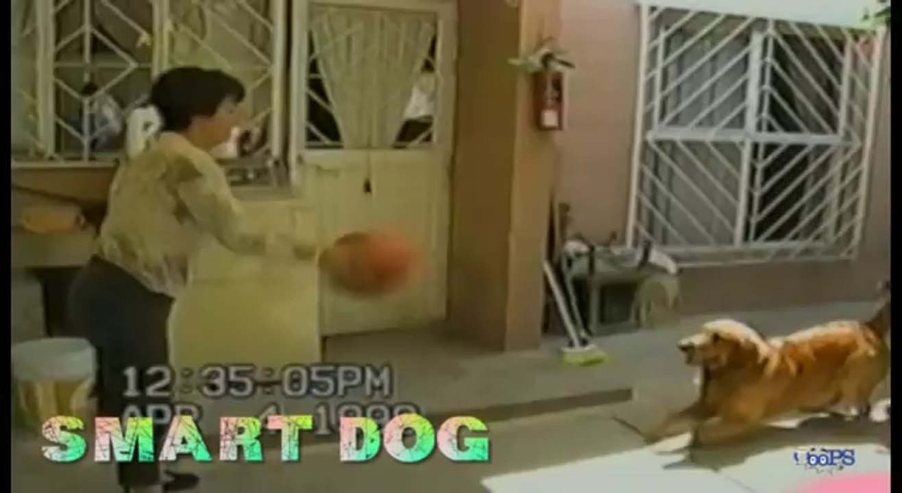 Pranks - Gags - Win - Fail.52