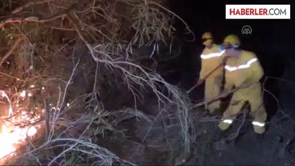 Seydikemer'de orman yangını -