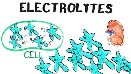 Can You Drink Too Much Water