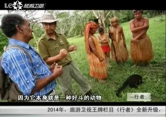 20140106 行者 去你的亚马逊——生存法则 勇敢的长吻浣熊
