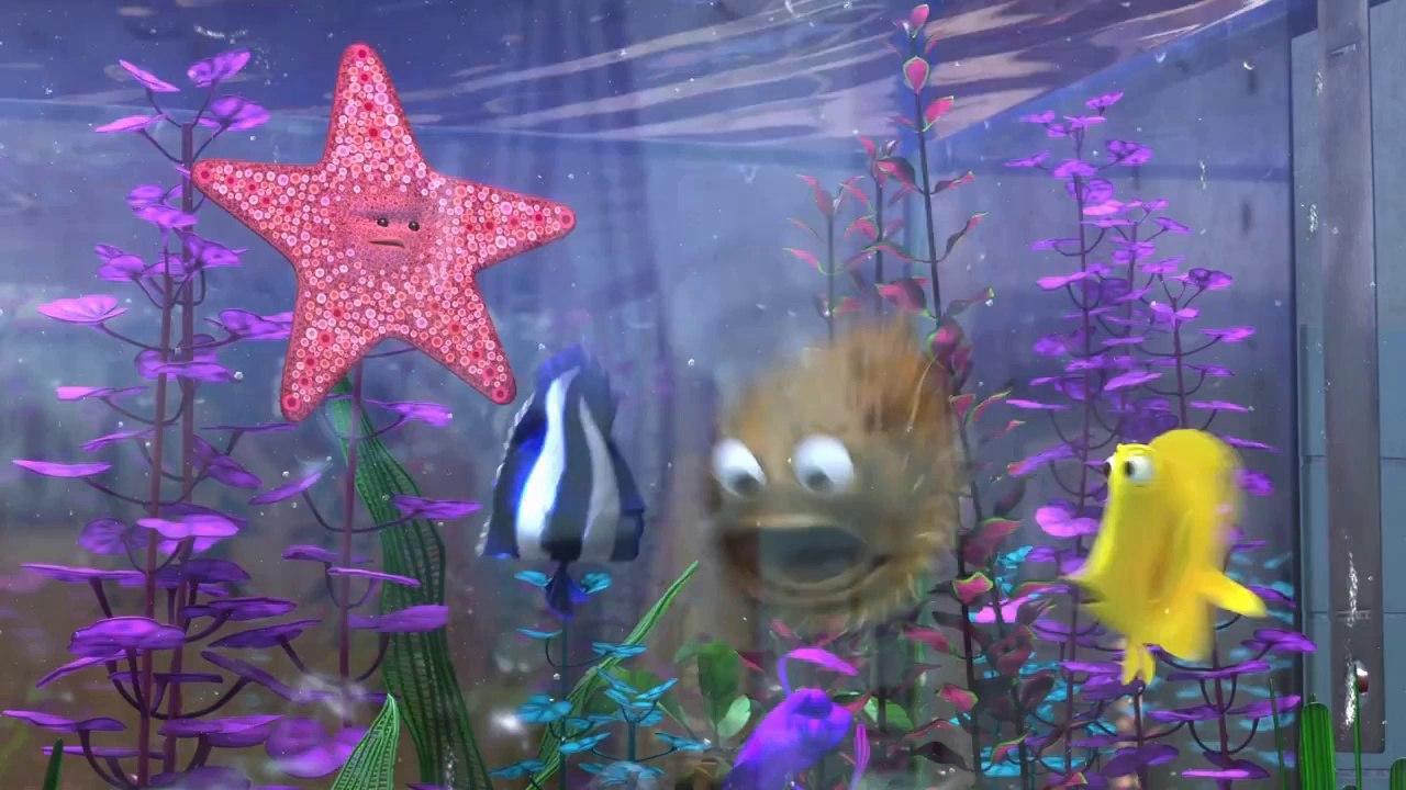 PROCURANDO NEMO
