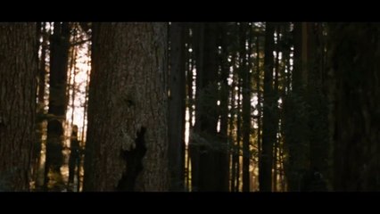 A SAGA CREPÚSCULO: AMANHECER - PARTE 2