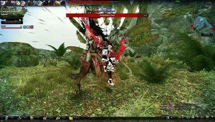 c  nexon vindictus en-us vindictus.exe 08.07.2014 - 01.29.35.07