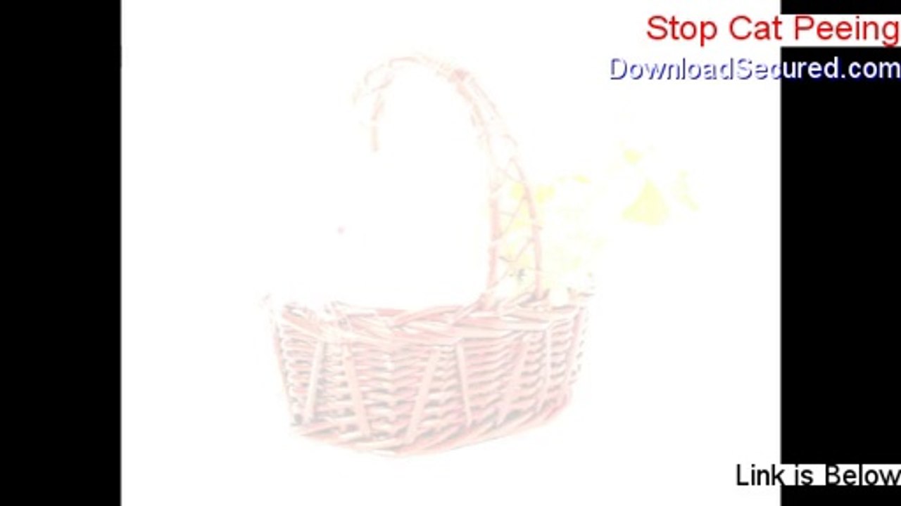 Stop Cat Peeing Review (Watch my Review)