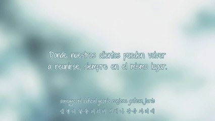 Infinite  - Only Tears