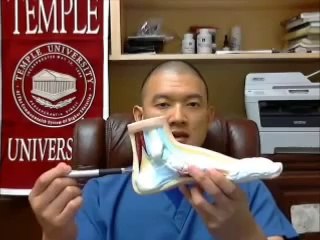 5 Things you need to know about Pediatric Heel Pain -Severs Disease