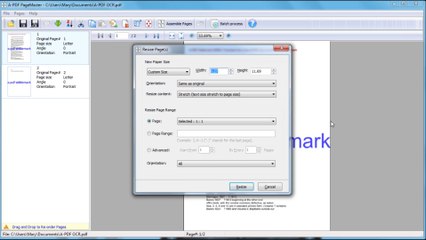 Can I resize PDF page by using A-PDF Page Master tool