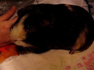 charlie playing around