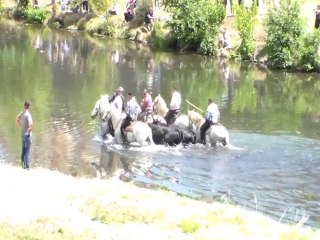 Feria Ales 2014 Gaze Manade Lafon