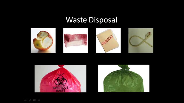 Standard precautions test