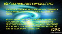 Find the pest control services in London|Central Pest Control London