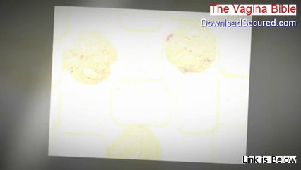 The Vagina Bible Review (Video Review 2014)