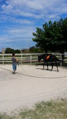 Vidago, 1ère séance avec la selle