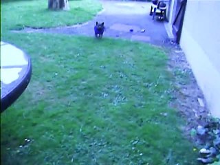 Jaudy et son ballon à 16h