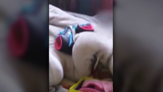 Une expulsion de famille par les forces de l'ordre filmée par un témoin