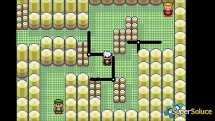 Pokémon Saphir : Cheminement de l'Arène Vol