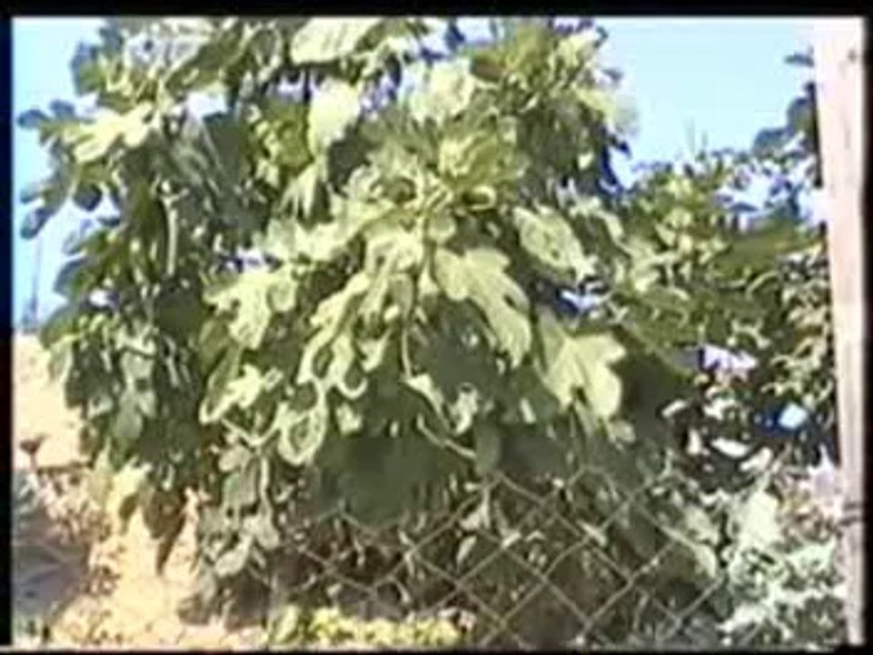 Terzi Köyü Tanıtım Belgesel Videosu