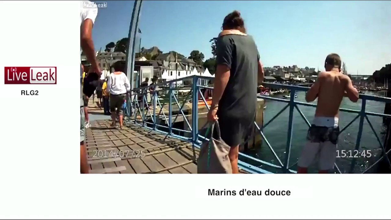 La démarche humaine d'un ours bipède - Le Zapping insolite