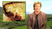 Denis Leary   Great Moments in Irish History