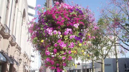 AKO The Way To Hollywood "ハリウッドへの道” ~Part 2~