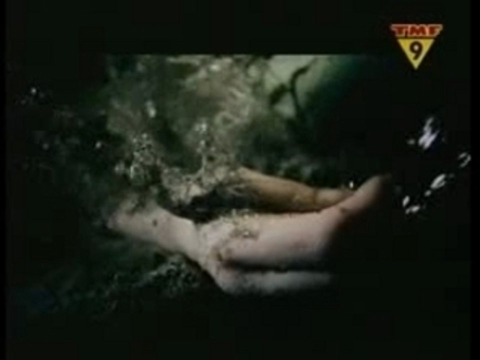 7 Colours - Lost Witness