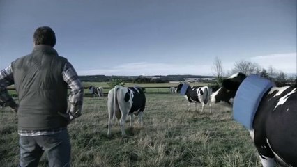 Thalys ab 13. Dezember wird noch Schneller