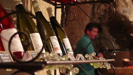 Viticulture : Le Domaine des Gauletteries